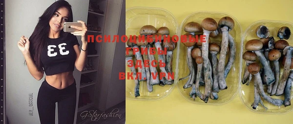 мескалин Бородино