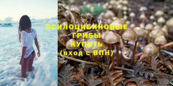 мескалин Бородино