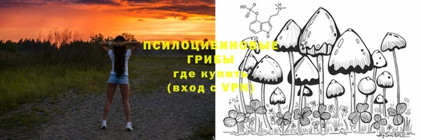 мескалин Бородино