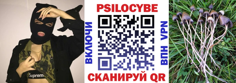 Галлюциногенные грибы прущие грибы  Киселёвск 